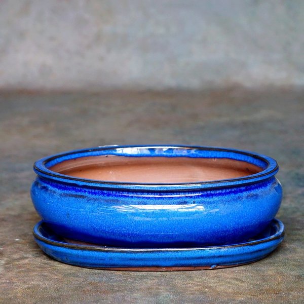 Bonsaischale Set oval, blau, 21 x 16,5 x 6,5 cm